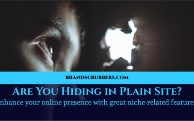 Are You Hiding in Plain Site? Enhance your online presence with great niche-related features.